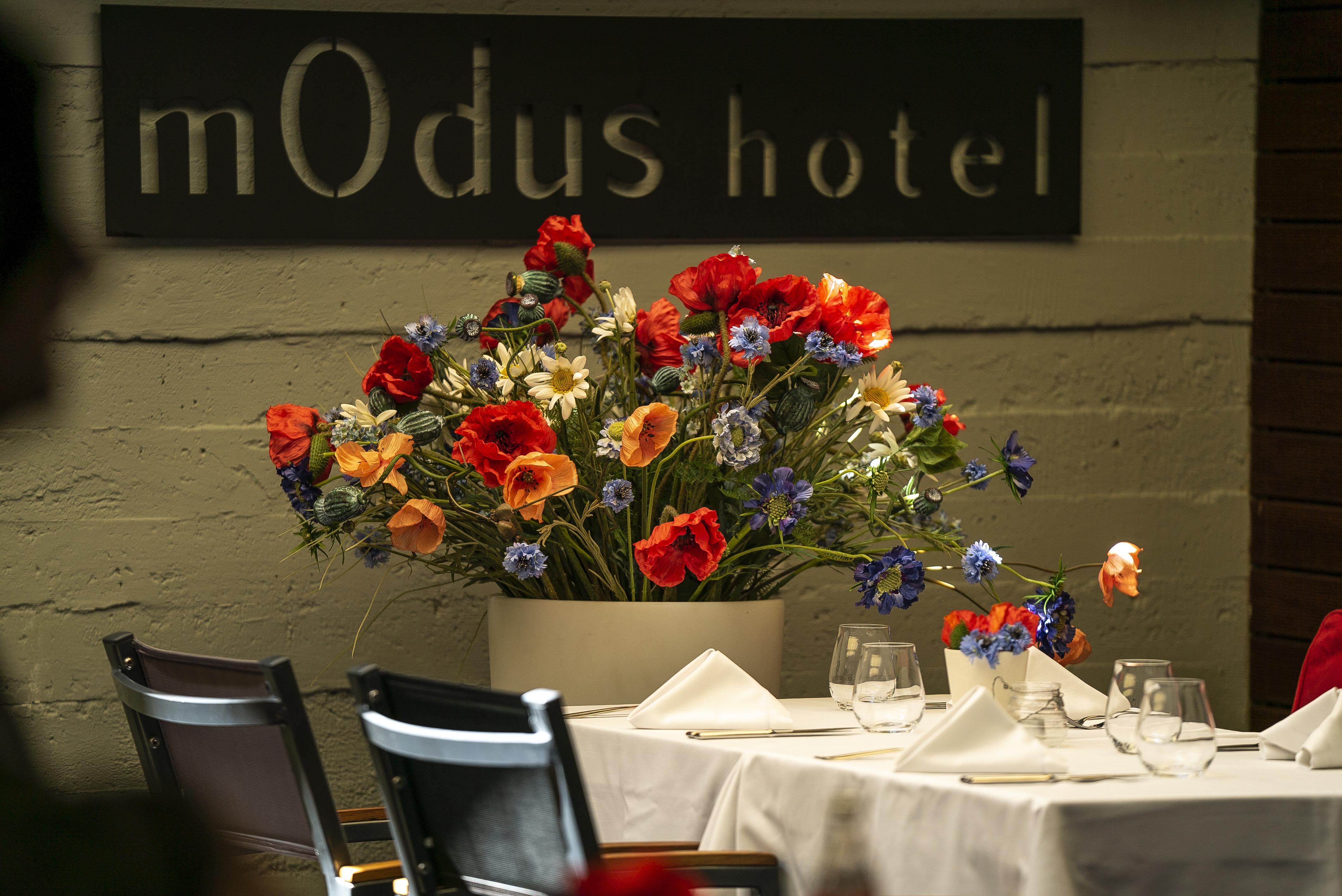 Modus Hotel Varna Eksteriør billede